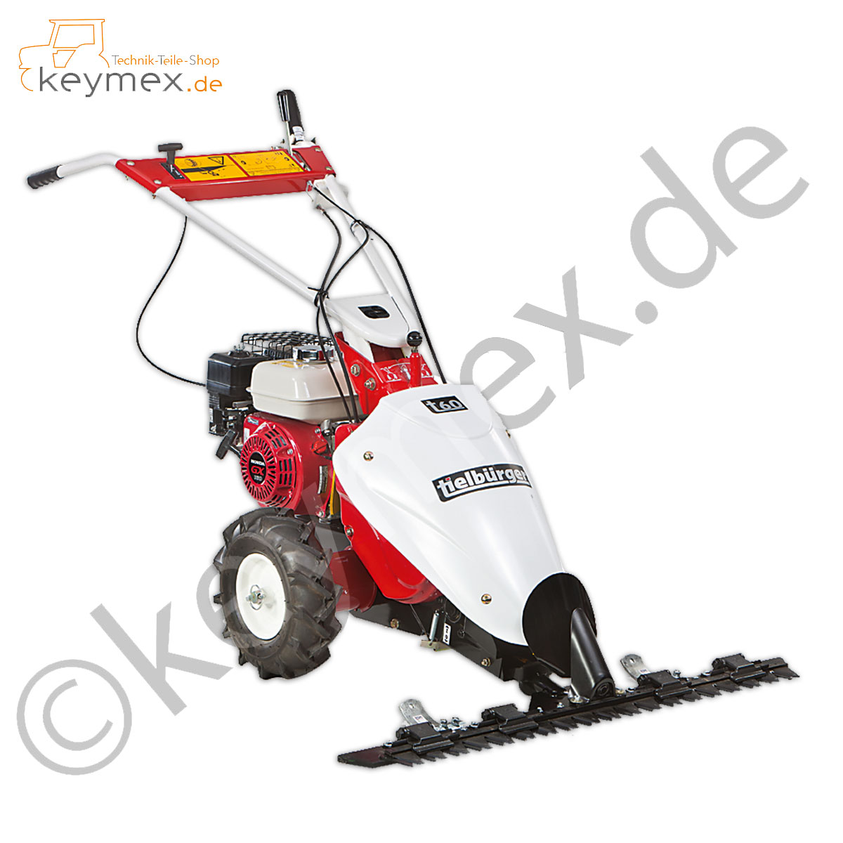 Balkenmäher Tielbürger t60 mit B&S 550 OHV Motor und 0,97 m Balken-image